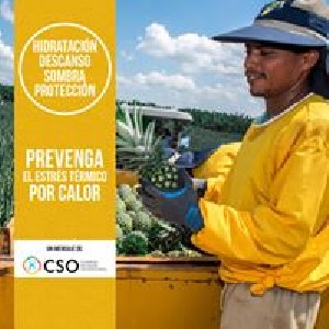 estres termico 3.jpg